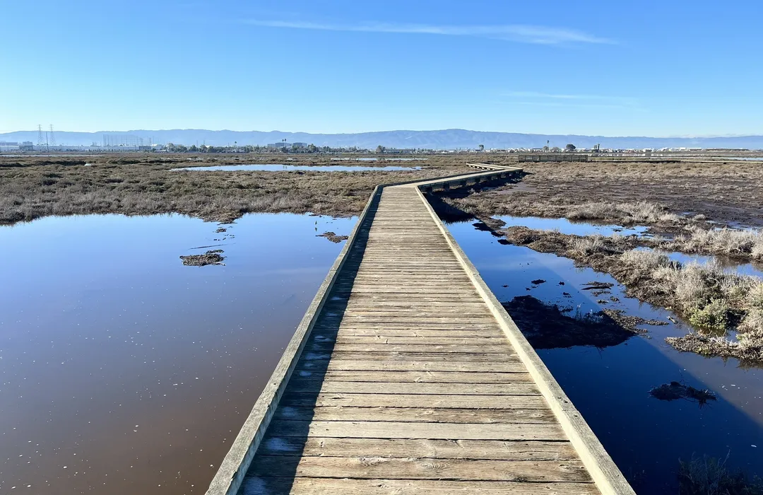 Don Edwards National Wildlife Refuge
